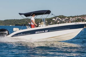 Slika 1